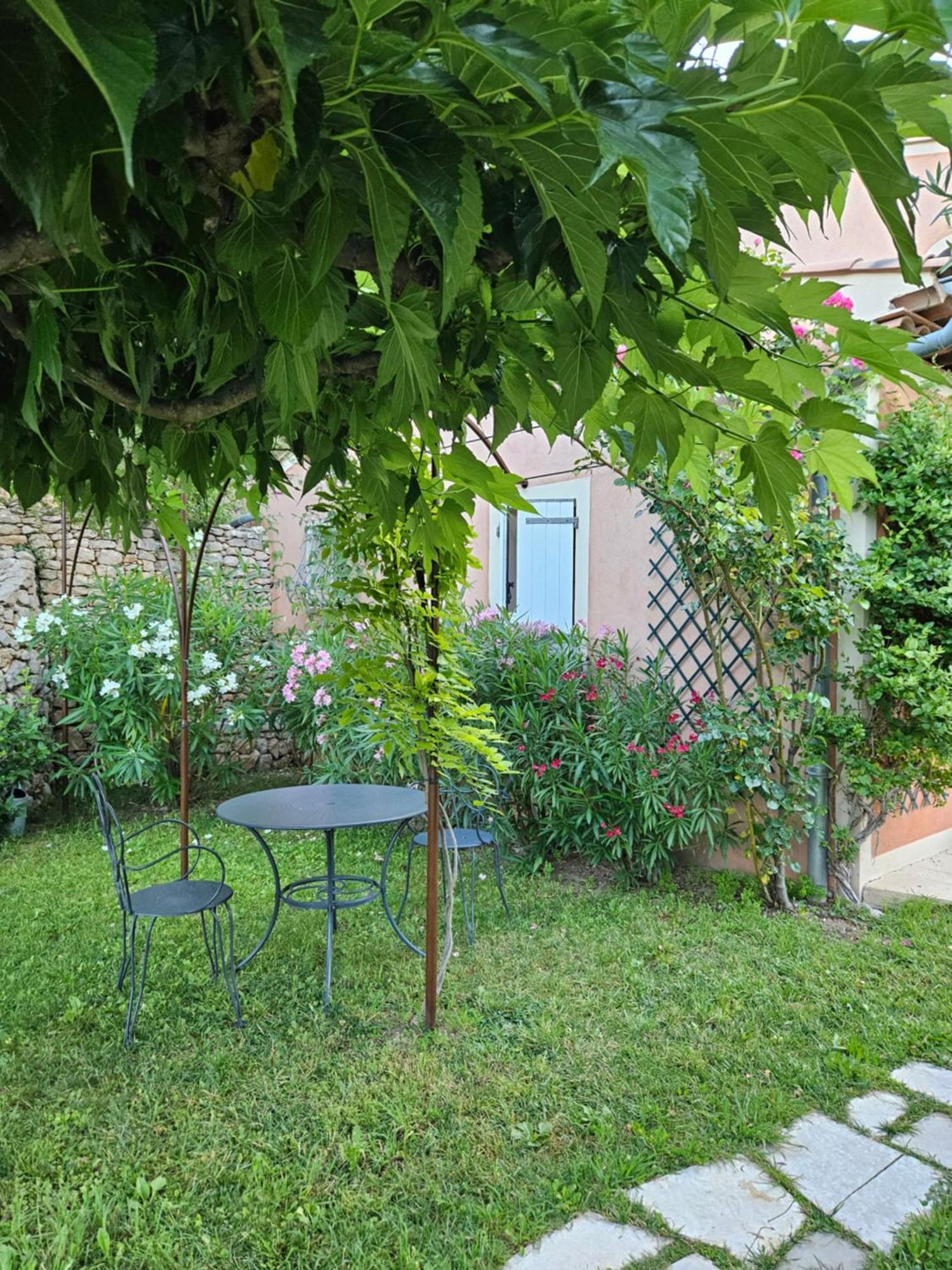 Bastide Des Oliviers Bed & Breakfast Moustiers-Sainte-Marie Dış mekan fotoğraf